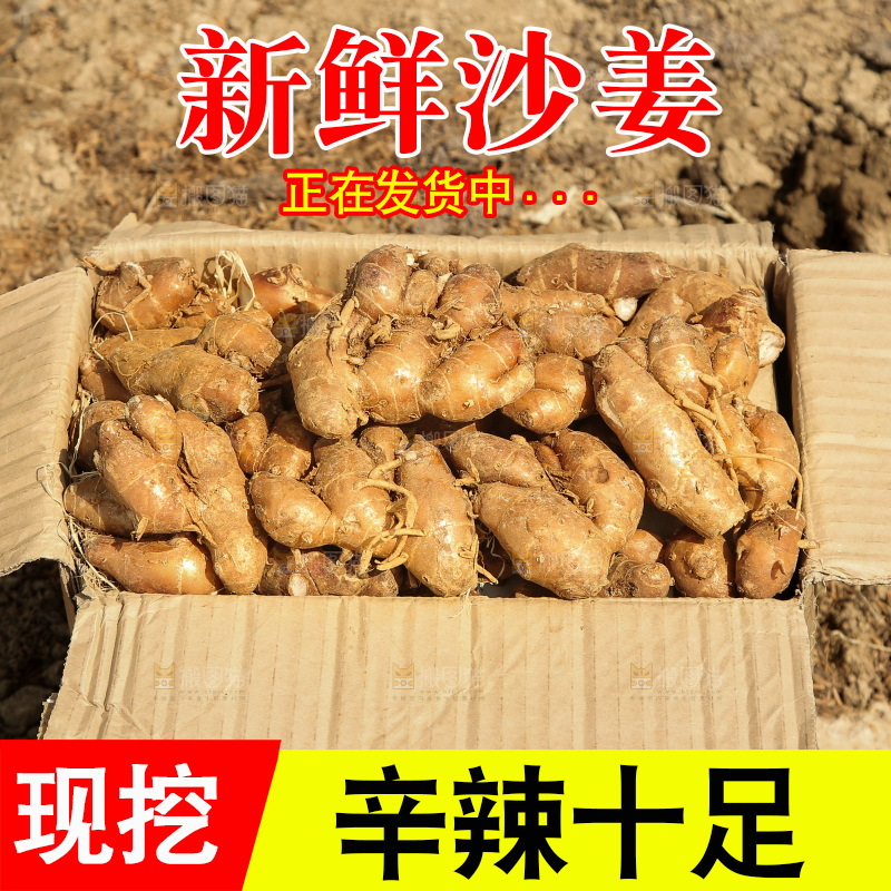 一箱沙姜