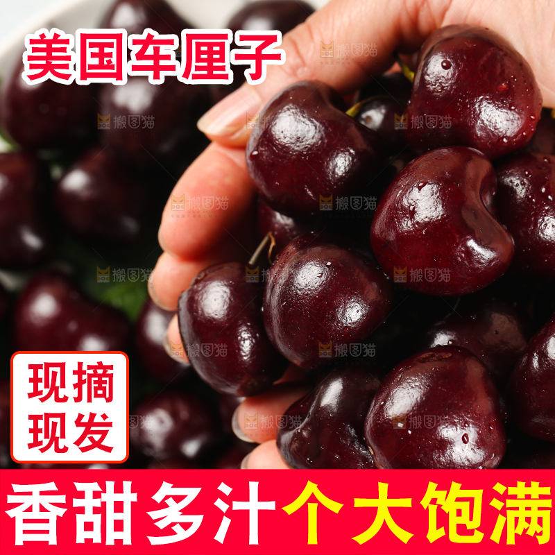 手里捧着智利车厘子
