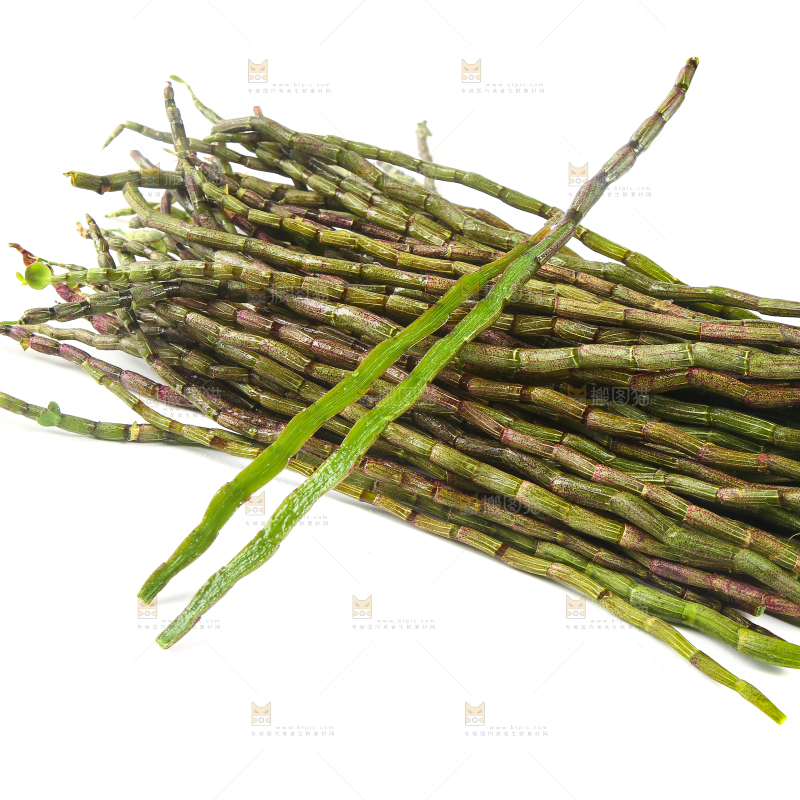 一堆雁荡山铁皮枫斗鲜条