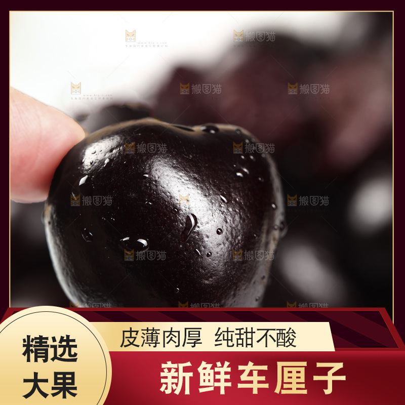 手里拿着黑珍珠