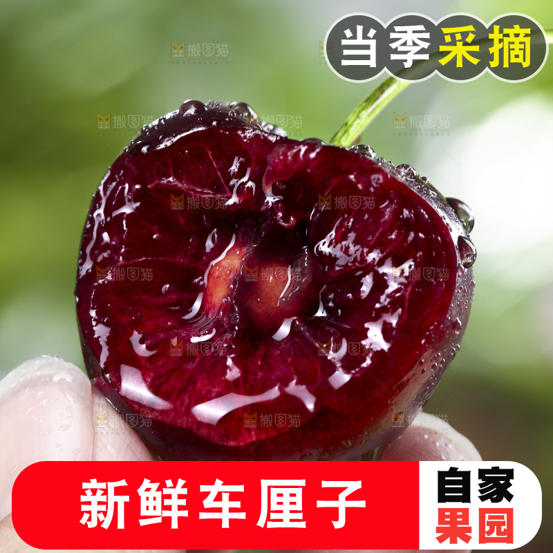 手里拿着车厘子