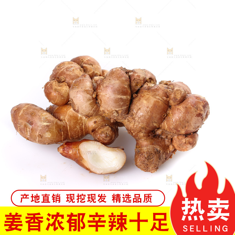 白底上摆放着沙姜