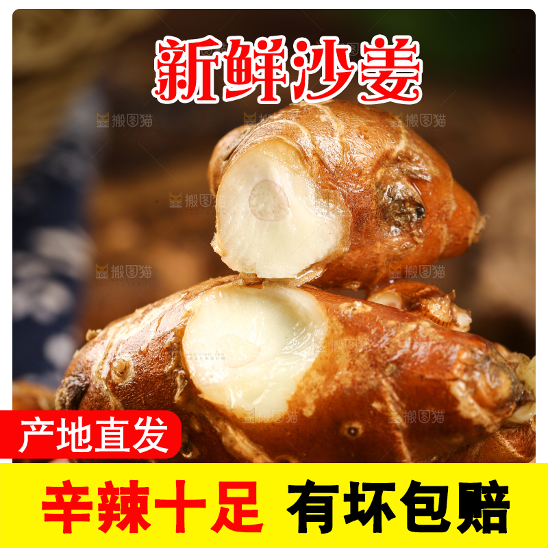 新鲜的沙姜