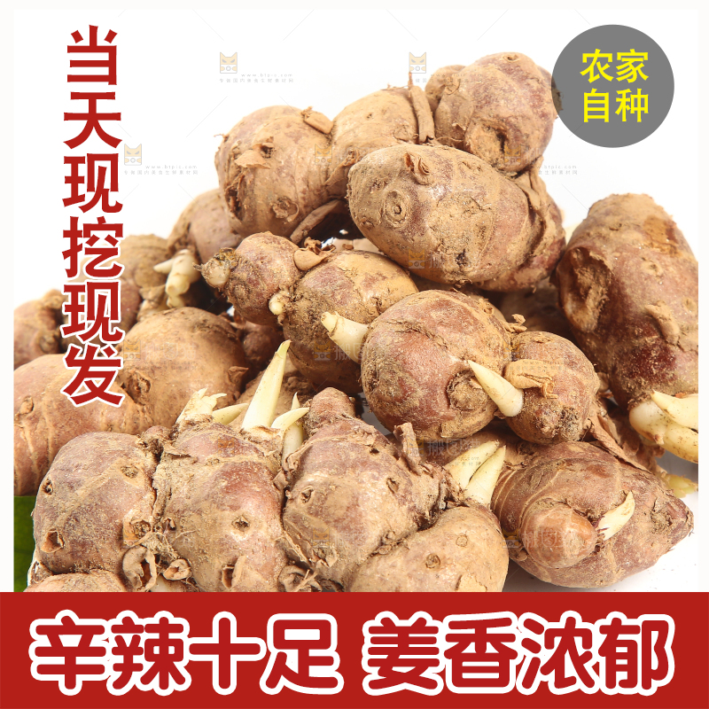 白底上放着茂名沙姜