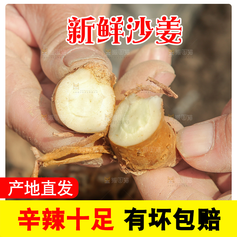 双手掰开沙姜