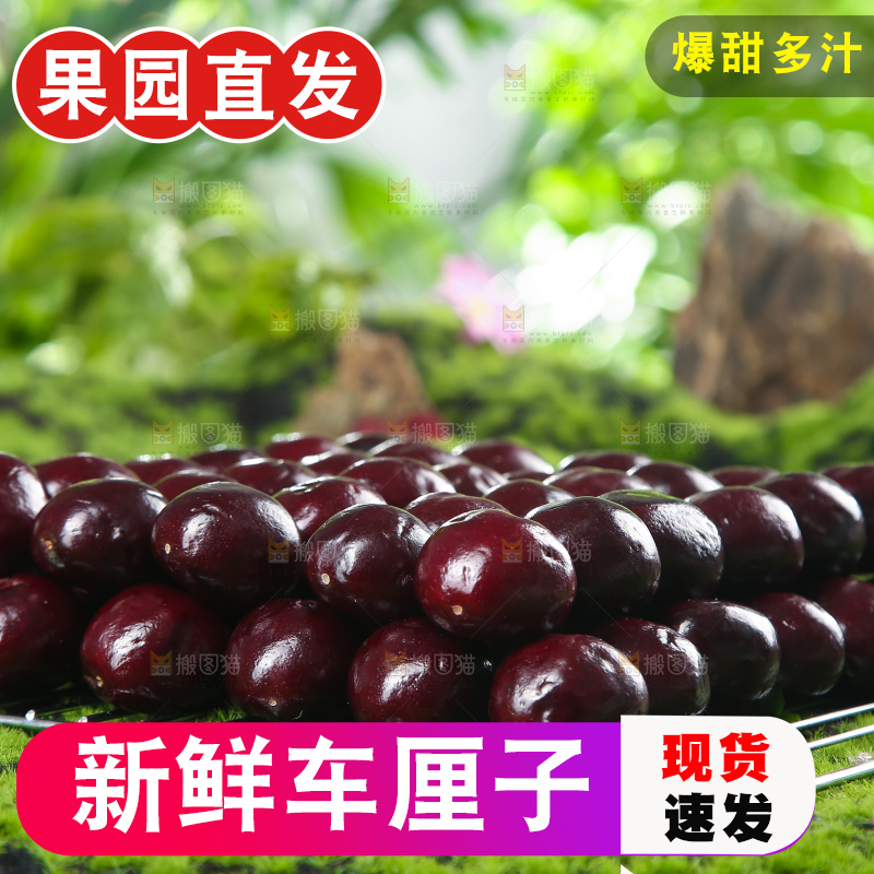 一堆新鲜车厘子