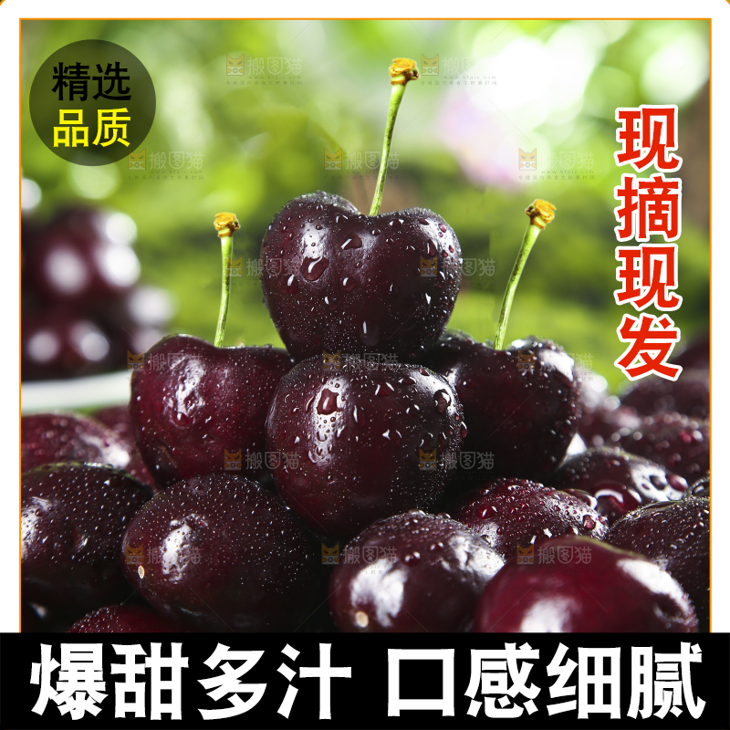 一堆新鲜车厘子