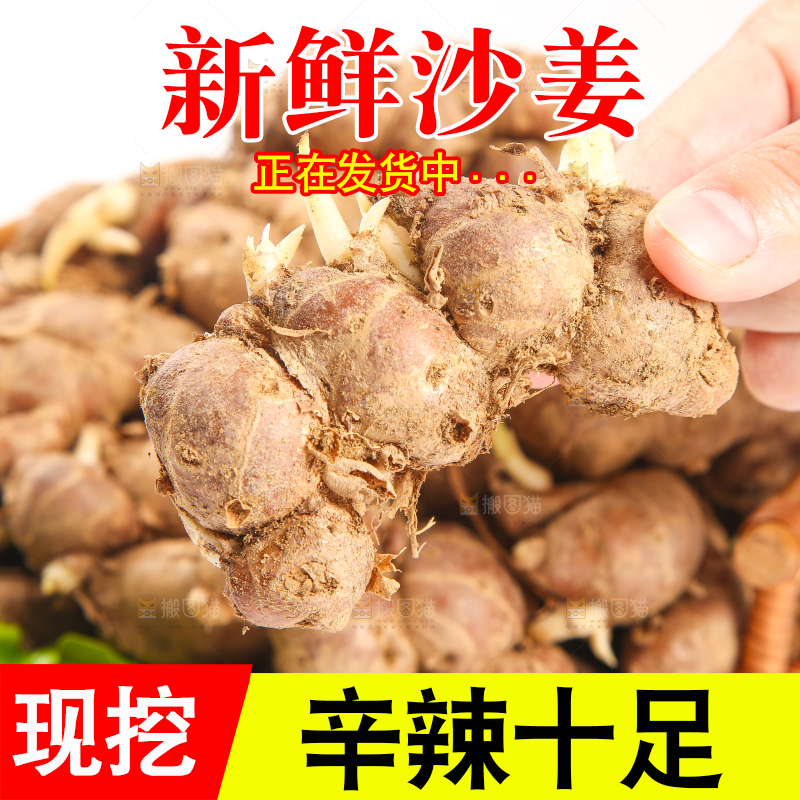手里拿着沙姜