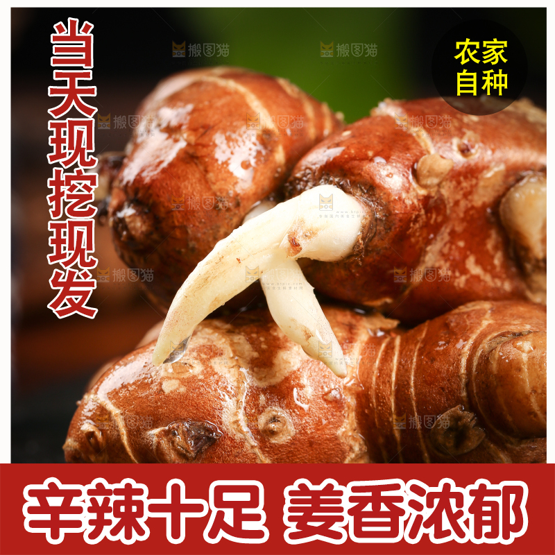 黑底上放着新鲜沙姜