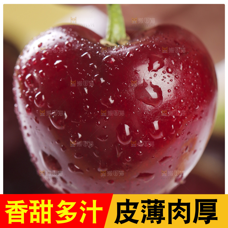 美早大樱桃特写
