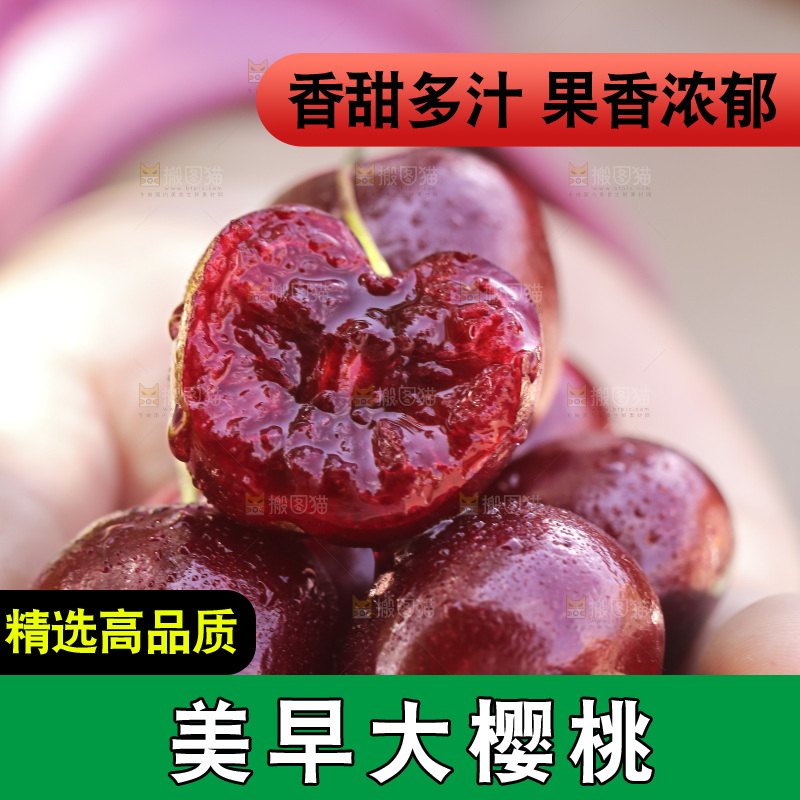 手里拿着山东大樱桃