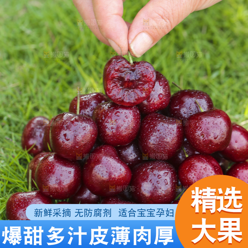 草地上放着一堆烟台大樱桃