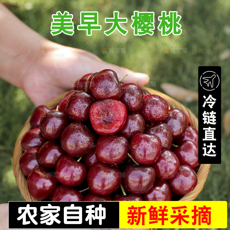 手里端着一盘山东大樱桃