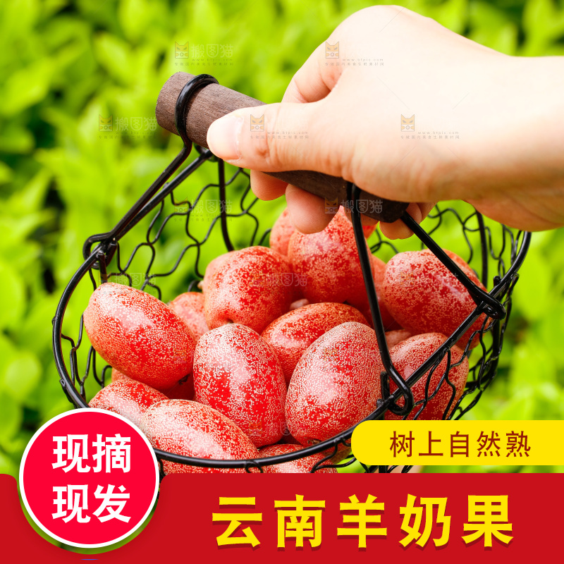 手提着一篮羊奶果