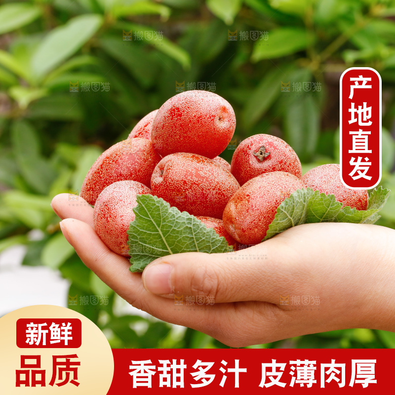 手里捧着羊奶果
