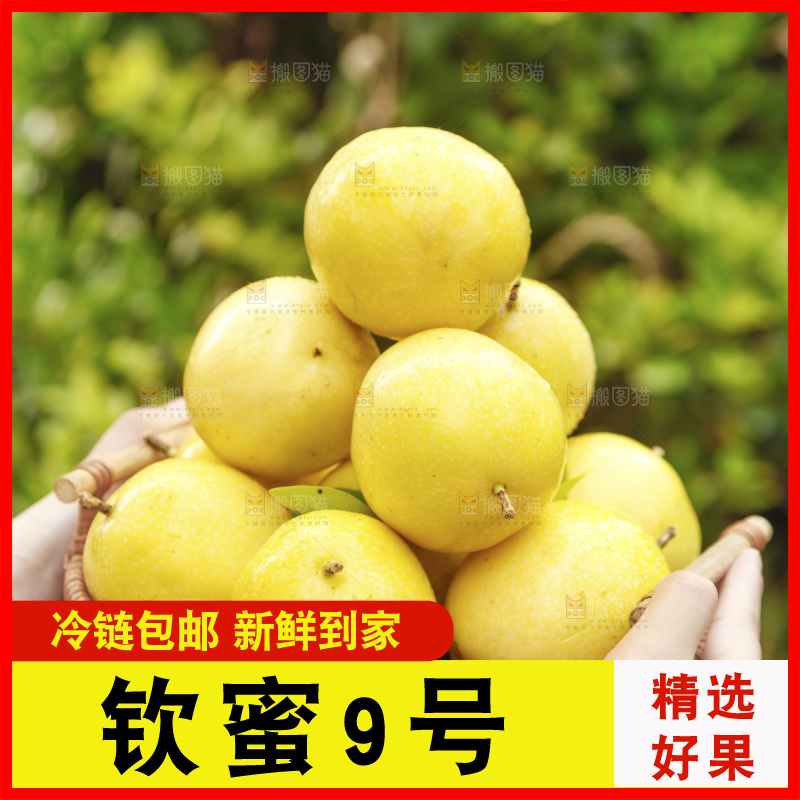 手里端着一篮海南黄金百香果