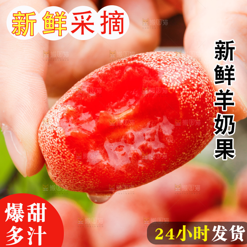 手里拿着新鲜羊奶果
