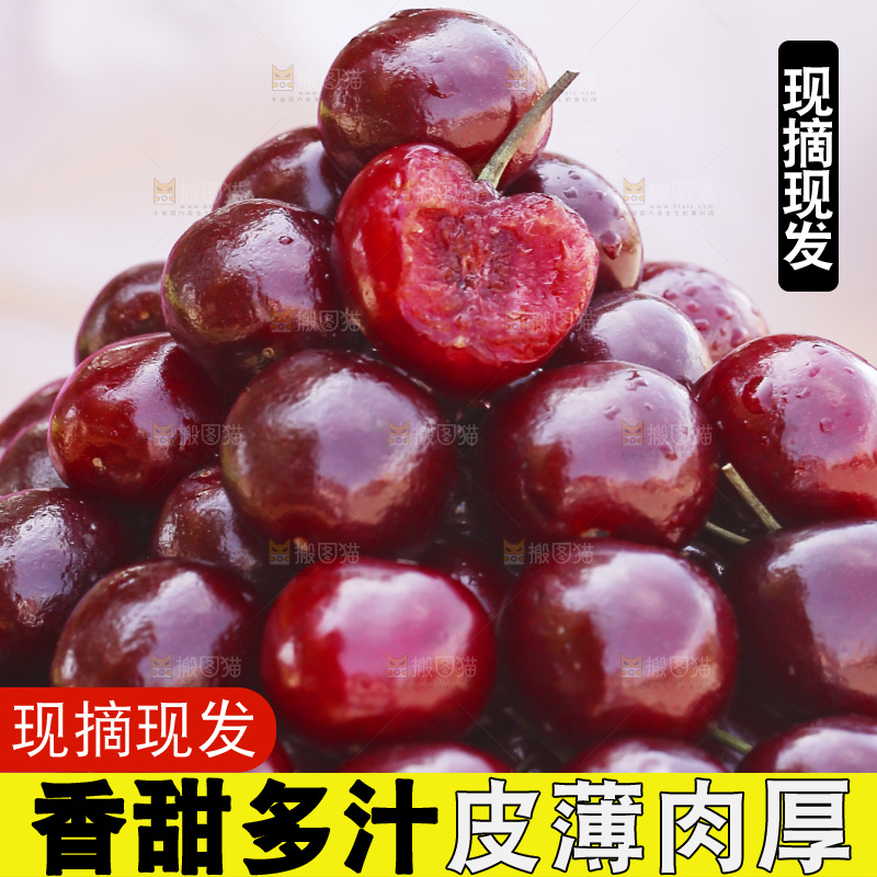 一篮美早大樱桃