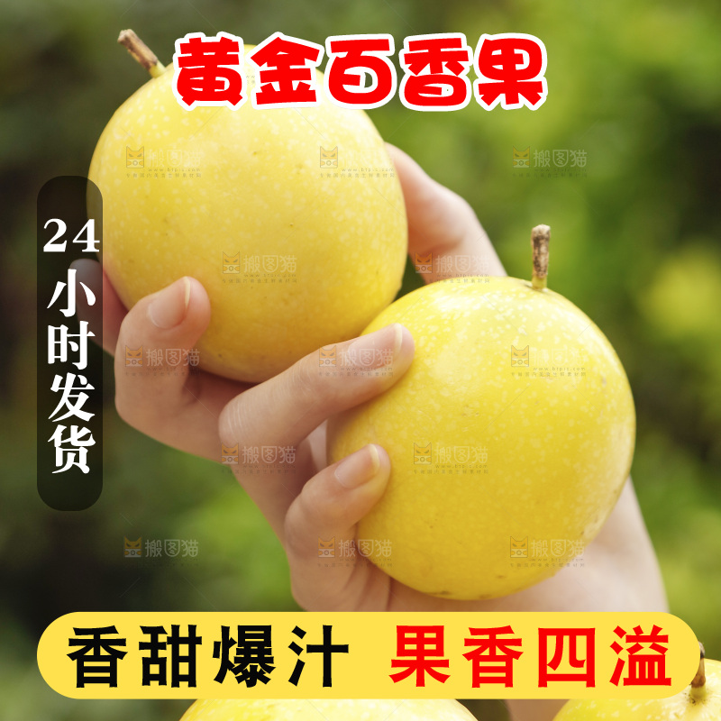 手里拿着黄金百香果