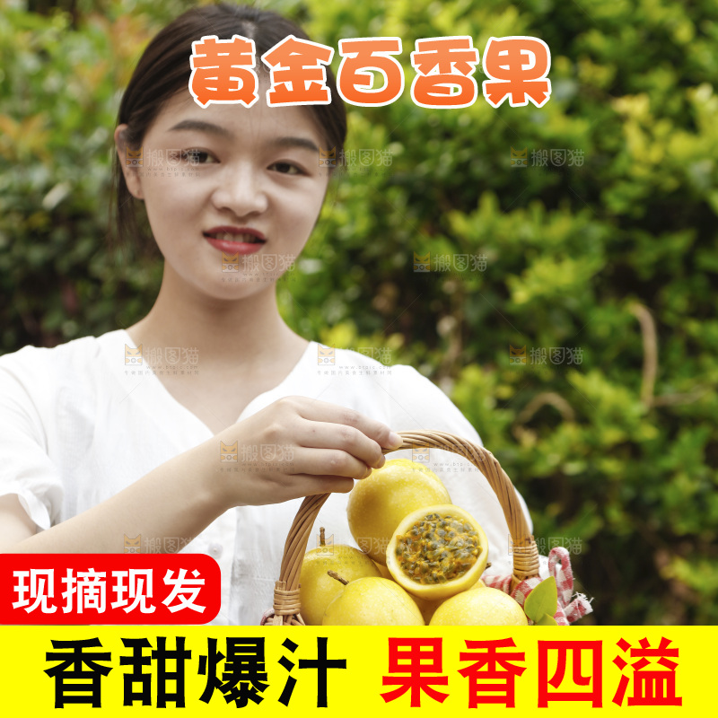女孩手里提着一篮广西黄金百香果