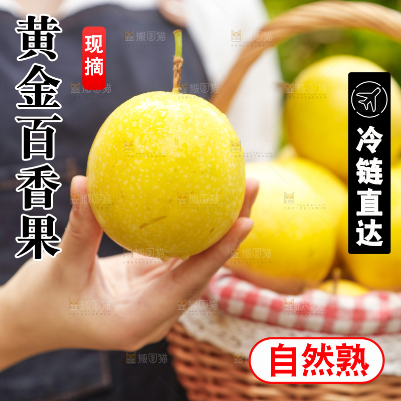 手里拿着广西黄金百香果