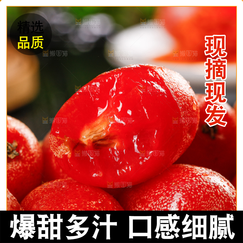 羊奶果纹理