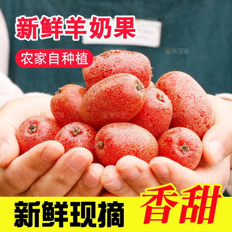 手里捧着羊奶果