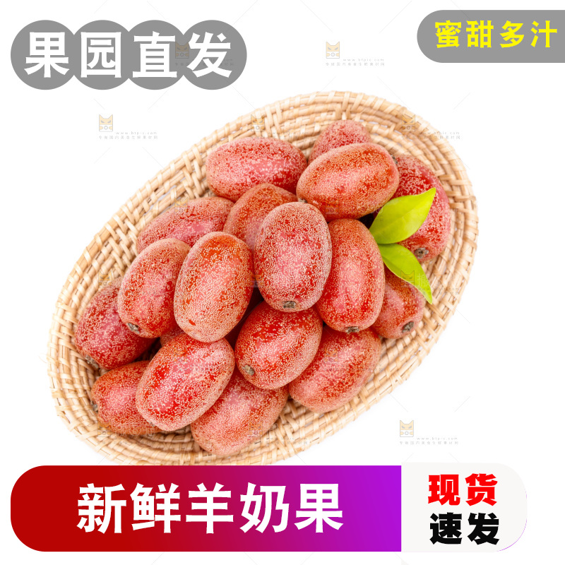 白底上放着一盘羊奶果