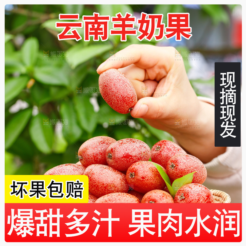 手里端着一盘新鲜羊奶果