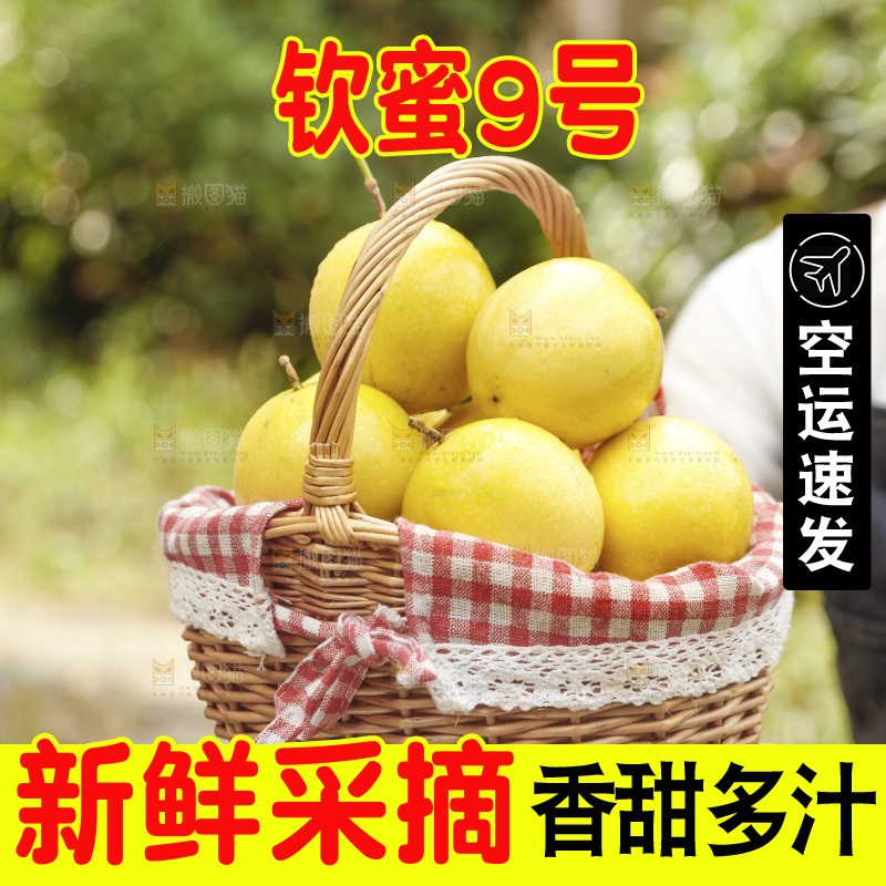 手里提着一篮广西黄金百香果