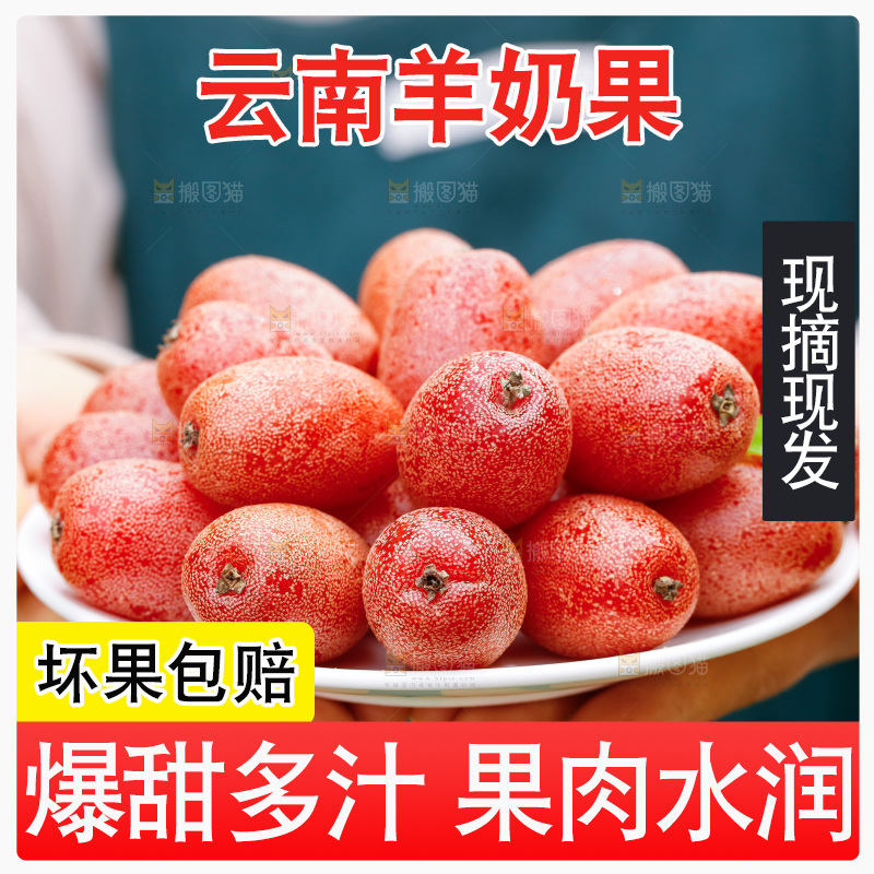 手里端着一盘羊奶果