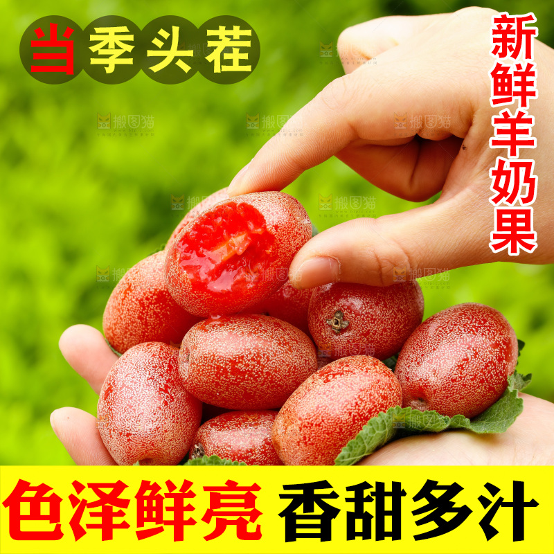 手里捧着羊奶果