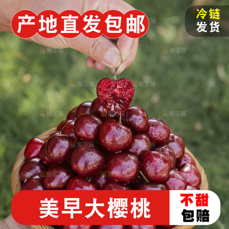 手里端着一盘山东大樱桃