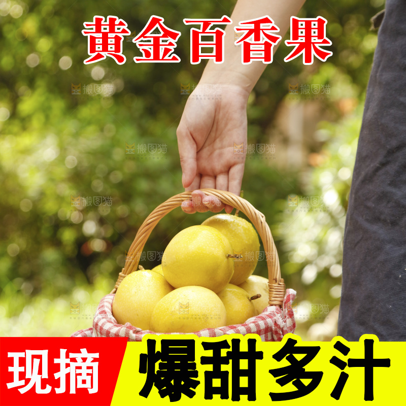 手里提着一篮广西黄金百香果