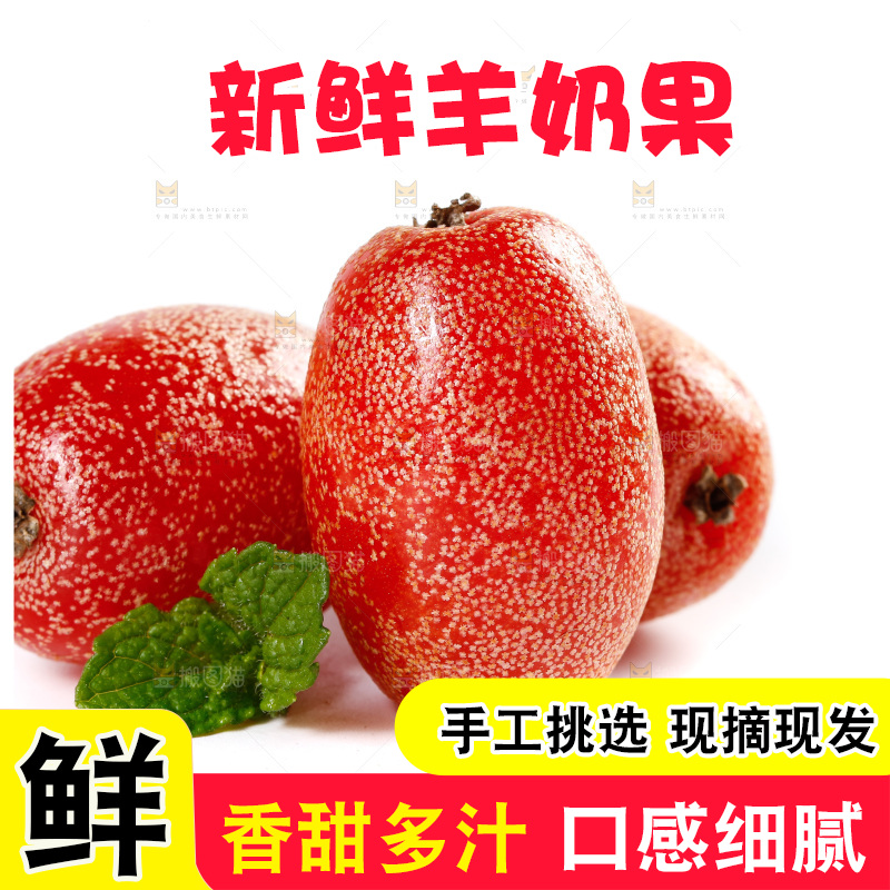 白底上放着云南羊奶果