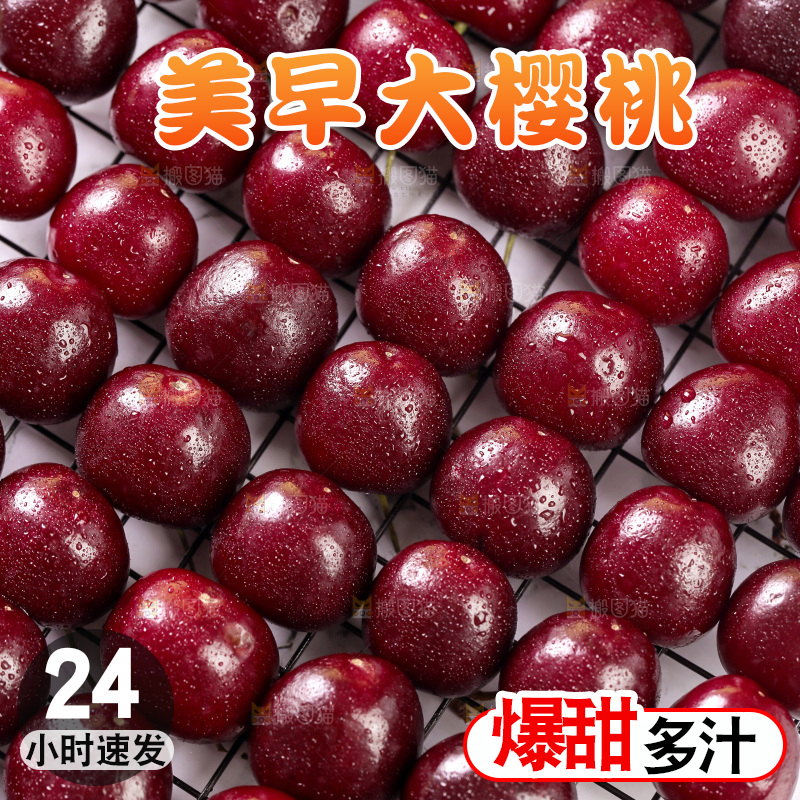 美早大樱桃纹理