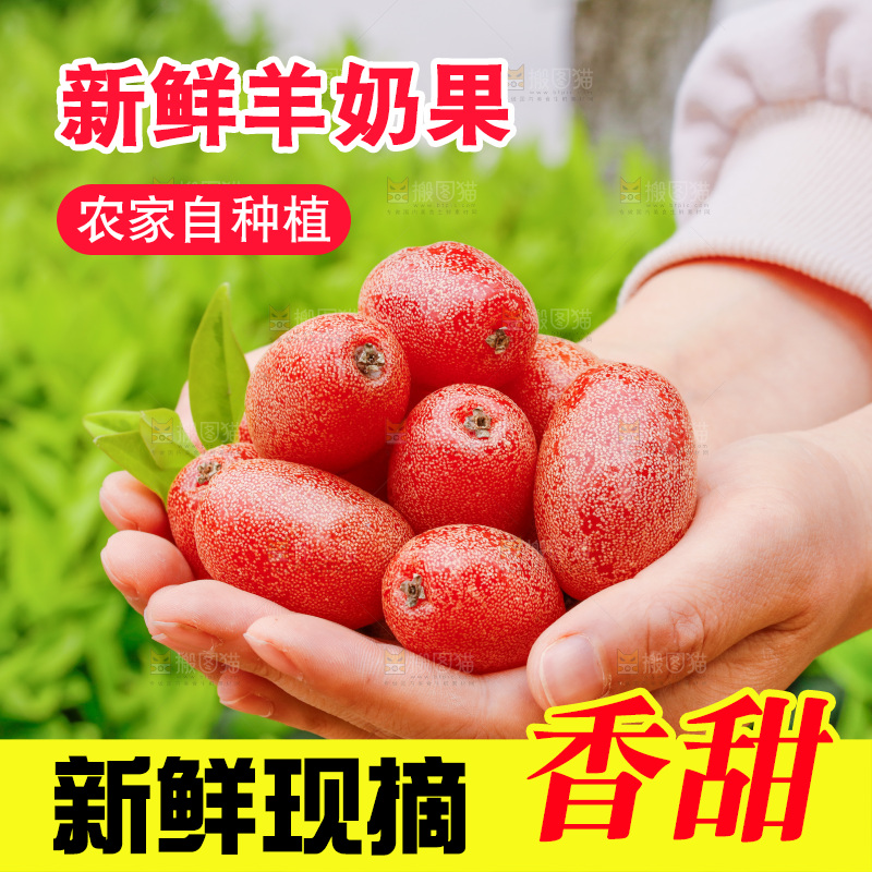 手里捧着羊奶果
