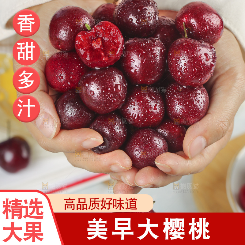 手里捧着美早大樱桃