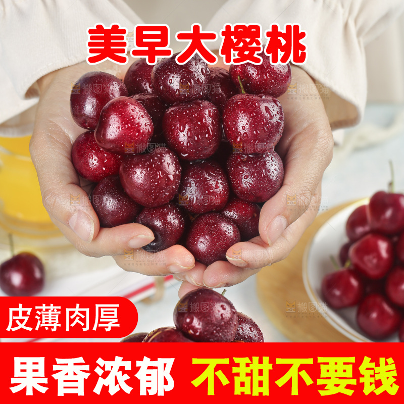 手里捧着美早大樱桃