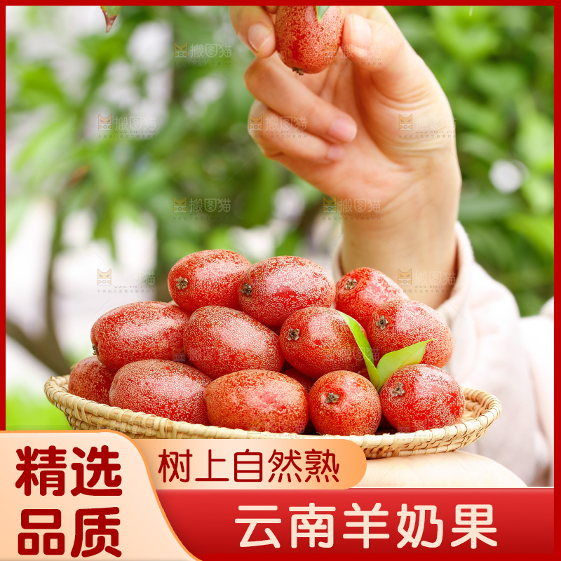 手里端着一盘新鲜羊奶果