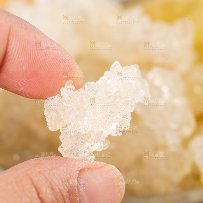 手里拿着雪燕