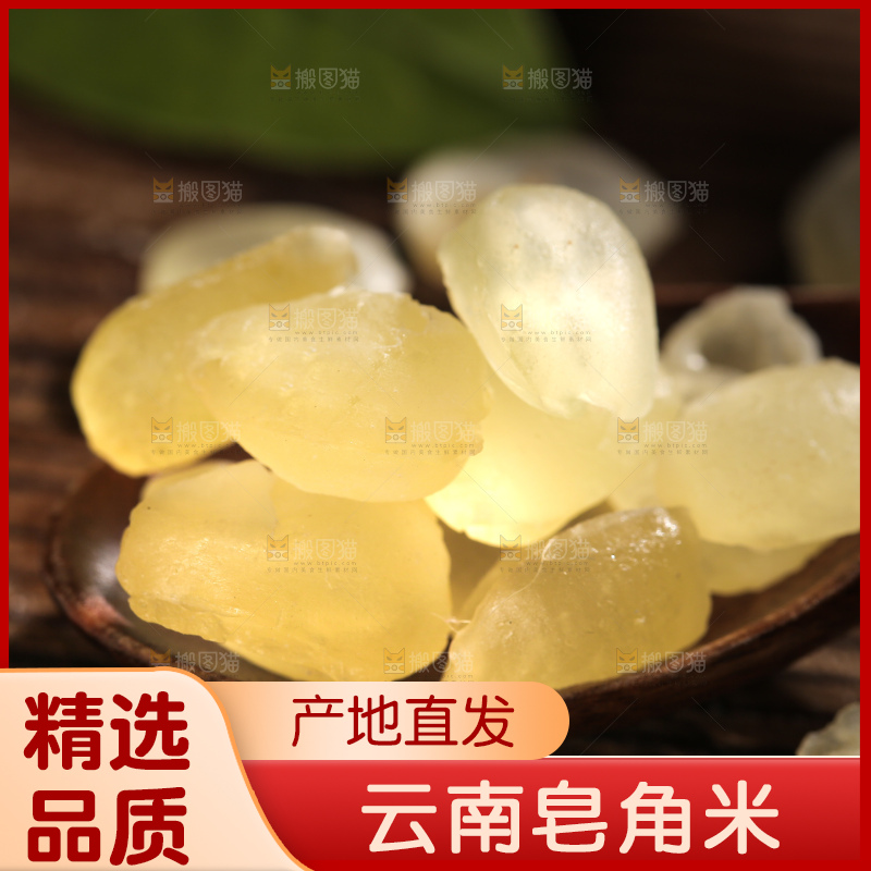 勺子上舀着双荚皂角米