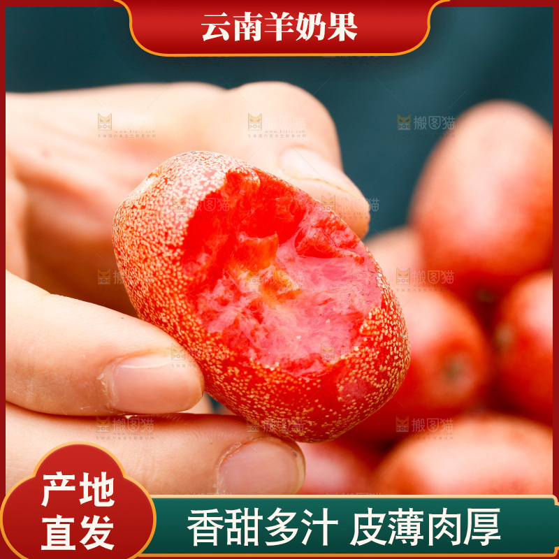 手里拿着羊奶果