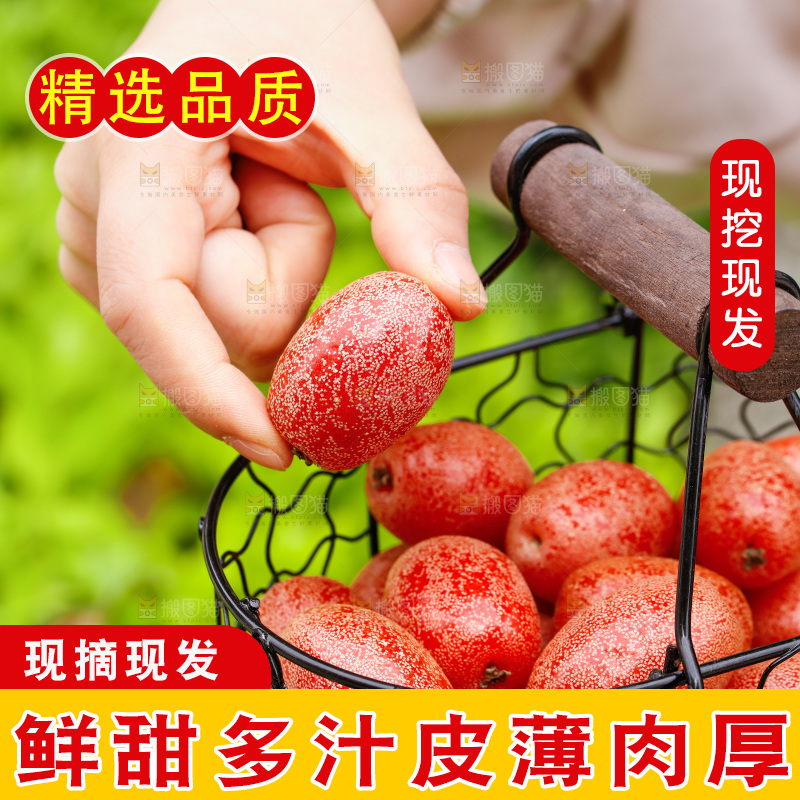 手里端着一篮子羊奶果