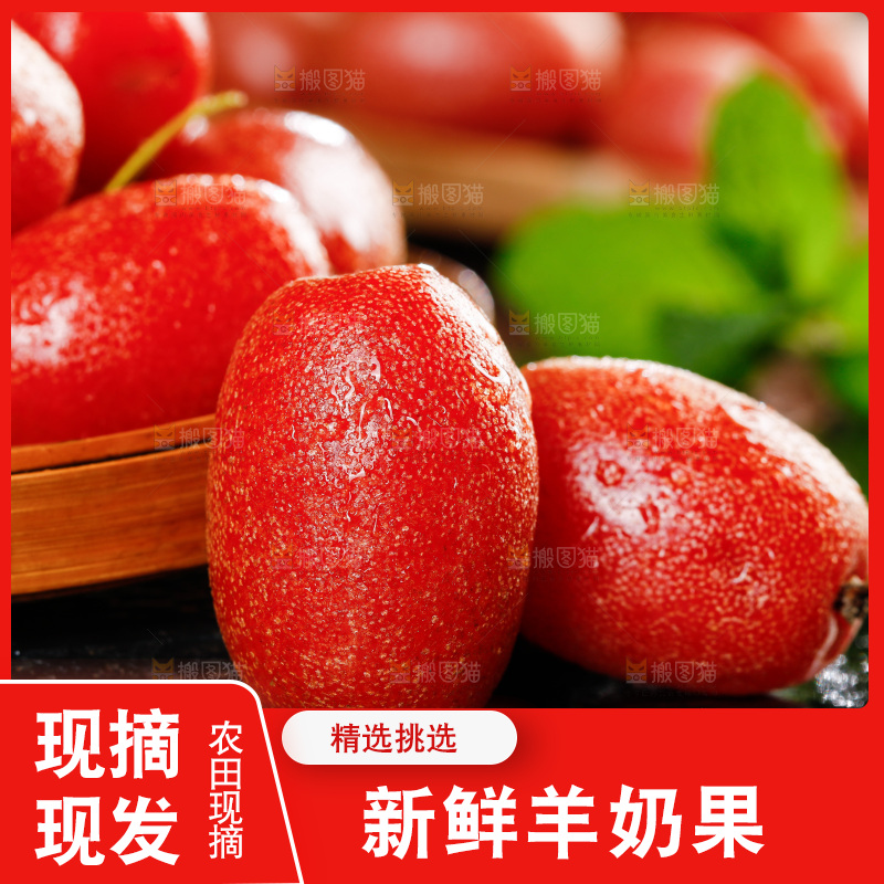 黑底上放着一篮羊奶果