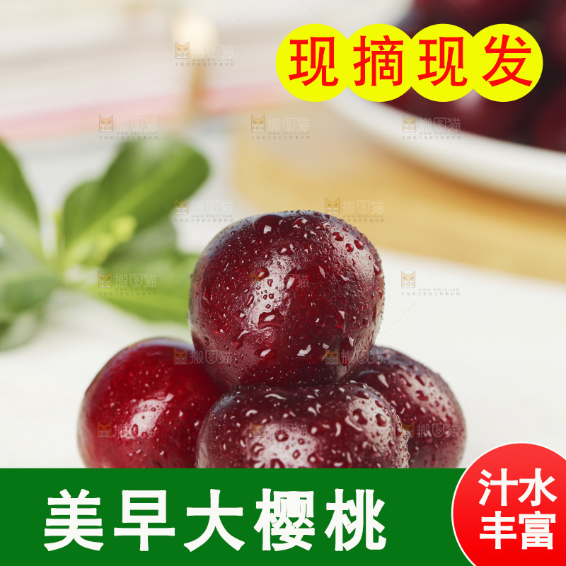 白底上放着美早大樱桃