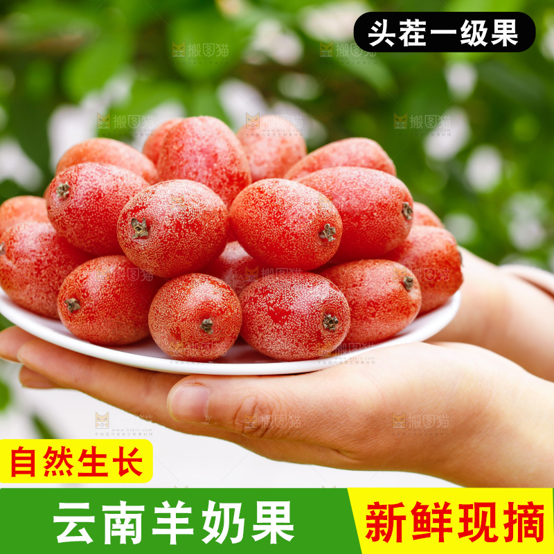 手里端着一盘羊奶果