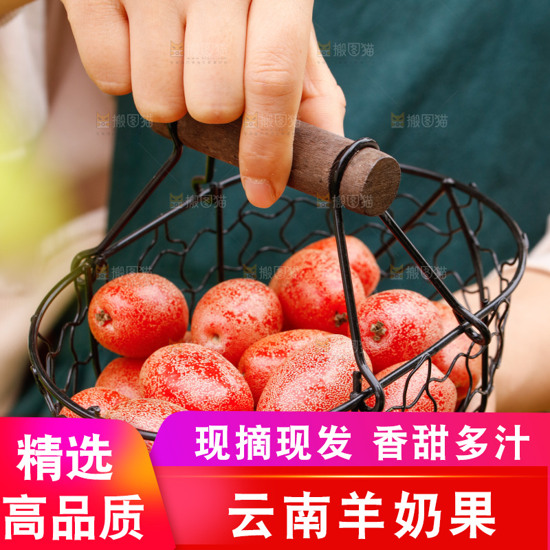 手提着一篮羊奶果