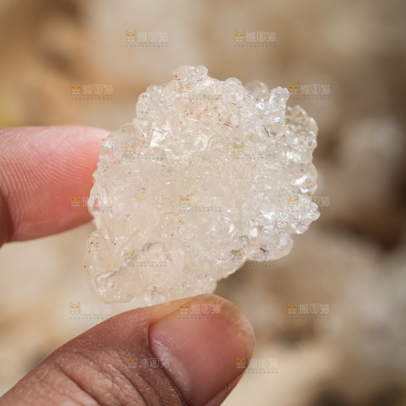 手里拿着拉丝雪燕