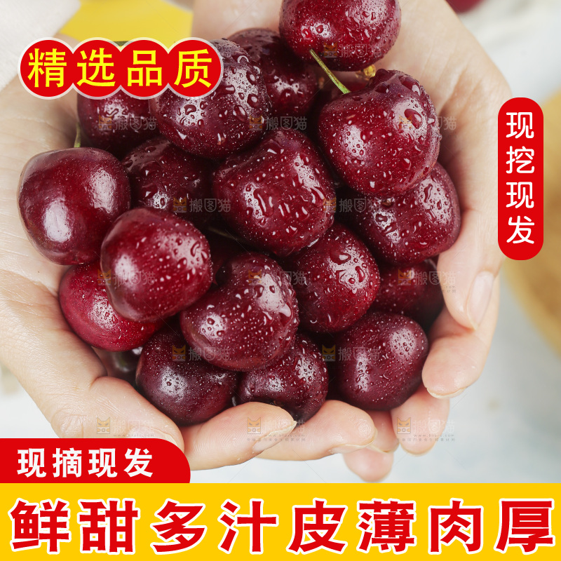手里捧着美早大樱桃